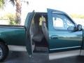 2000 Amazon Green Metallic Ford F150 XLT Extended Cab  photo #18