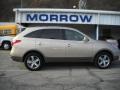 Satin Beige Metallic 2008 Hyundai Veracruz SE AWD