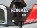 2004 Ebony Black Hyundai Sonata V6  photo #14
