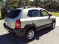 2007 Desert Sage Metallic Hyundai Tucson Limited  photo #9