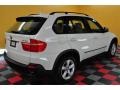 Alpine White - X5 3.0si Photo No. 6