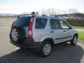 Satin Silver Metallic - CR-V EX 4WD Photo No. 5