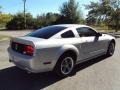 2006 Satin Silver Metallic Ford Mustang V6 Deluxe Coupe  photo #8