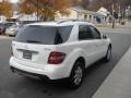 Alabaster White - ML 350 4Matic Photo No. 3