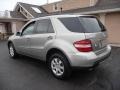 2007 Pewter Metallic Mercedes-Benz ML 350 4Matic  photo #4