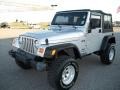 2004 Bright Silver Metallic Jeep Wrangler X 4x4  photo #7