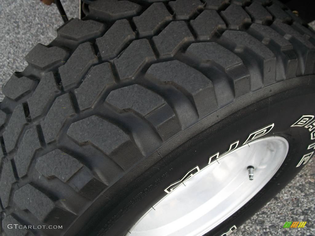 2004 Wrangler X 4x4 - Bright Silver Metallic / Dark Slate Gray photo #12