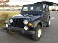 Patriot Blue Pearl - Wrangler Unlimited 4x4 Photo No. 2