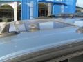 Silver Blue Metallic - TrailBlazer LS 4x4 Photo No. 6