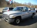 1999 Silver Metallic Dodge Ram 1500 Regular Cab  photo #14