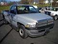 1999 Silver Metallic Dodge Ram 1500 Regular Cab  photo #16