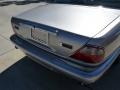 Platinum Metallic - XJ Vanden Plas Photo No. 6