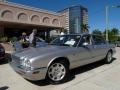 Platinum Metallic - XJ Vanden Plas Photo No. 13