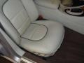 Platinum Metallic - XJ Vanden Plas Photo No. 28