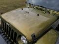 2007 Rescue Green Metallic Jeep Wrangler Unlimited Sahara 4x4  photo #14