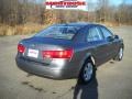 Willow Gray - Sonata GLS Photo No. 3