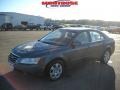 Willow Gray - Sonata GLS Photo No. 20
