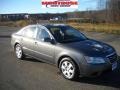 Willow Gray - Sonata GLS Photo No. 24