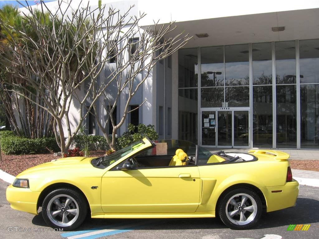 2002 Mustang GT Convertible - Zinc Yellow / Dark Charcoal photo #5