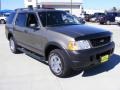 2005 Mineral Grey Metallic Ford Explorer XLS  photo #4