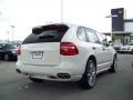 2009 Sand White Porsche Cayenne GTS  photo #4