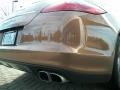 Cognac Metallic - Panamera Turbo Photo No. 25