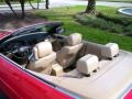 2001 Bright Red BMW 3 Series 325i Convertible  photo #10