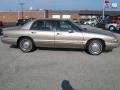 Champagne Beige Metallic - Park Avenue  Photo No. 2
