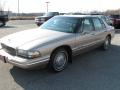 Champagne Beige Metallic - Park Avenue  Photo No. 6