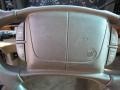 Champagne Beige Metallic - Park Avenue  Photo No. 11