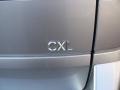 Platinum Metallic - Rendezvous CXL AWD Photo No. 33