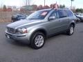 Willow Green Metallic - XC90 3.2 AWD Photo No. 1