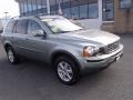 Willow Green Metallic - XC90 3.2 AWD Photo No. 7