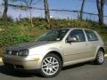 2001 Storm Beige Metallic Volkswagen GTI GLX #21774533