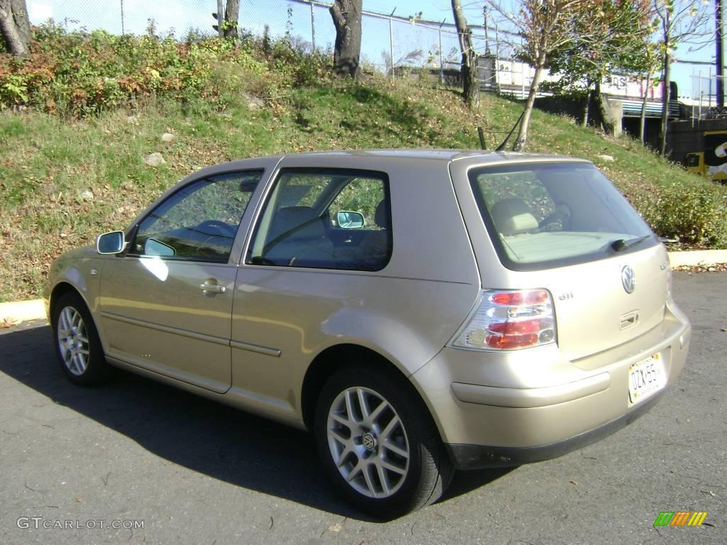 2001 GTI GLX - Storm Beige Metallic / Beige photo #2