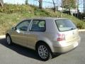 Storm Beige Metallic - GTI GLX Photo No. 2