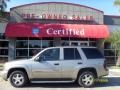 Light Pewter Metallic - TrailBlazer LS Photo No. 1