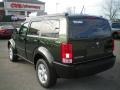 2010 Natural Green Pearl Dodge Nitro SE 4x4  photo #8