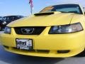 2002 Zinc Yellow Ford Mustang GT Coupe  photo #27