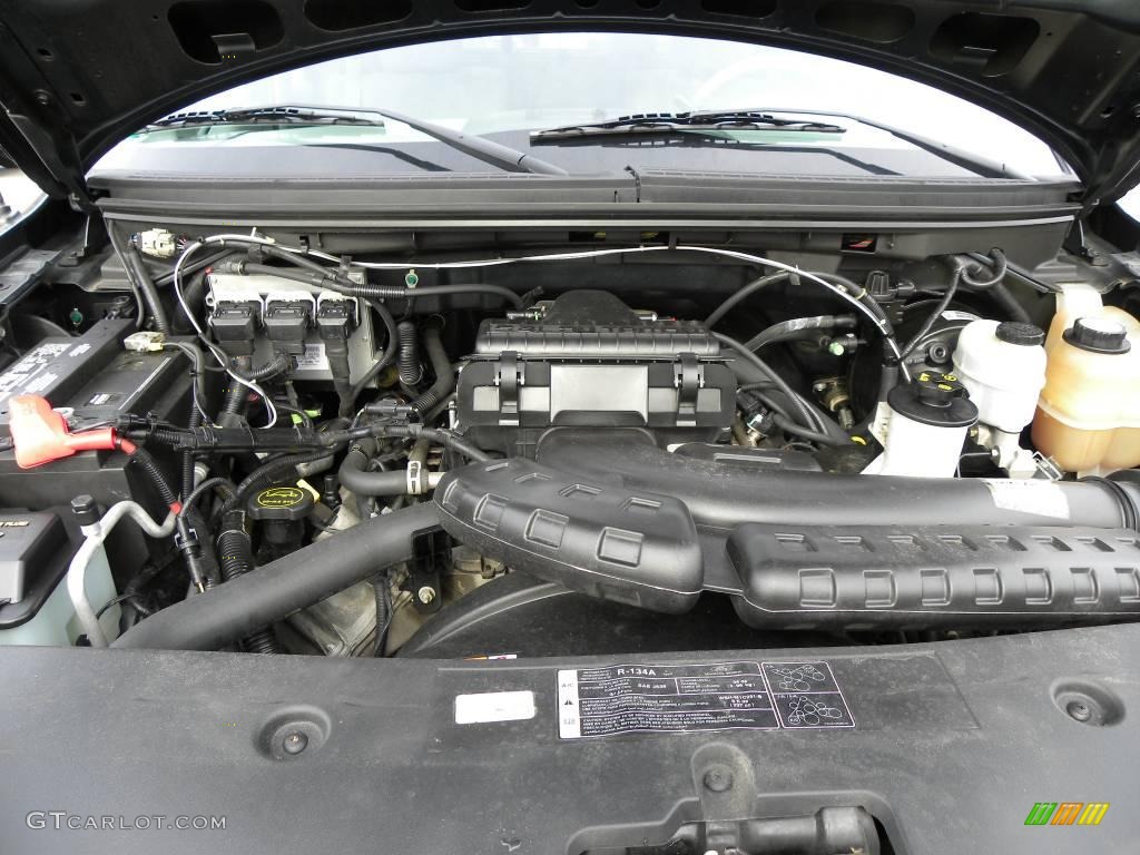2005 F150 XLT Regular Cab 4x4 - Aspen Green Metallic / Medium Flint Grey photo #16