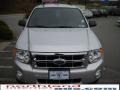 2010 Ingot Silver Metallic Ford Escape XLT  photo #3