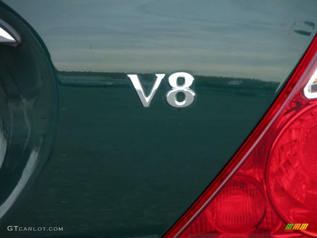 2003 S-Type 4.2 - Jaguar Racing Green / Charcoal photo #6