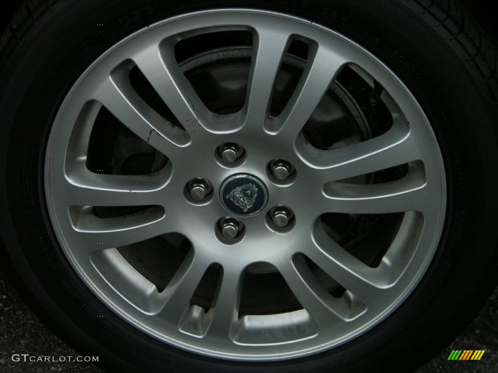 2003 S-Type 4.2 - Jaguar Racing Green / Charcoal photo #7