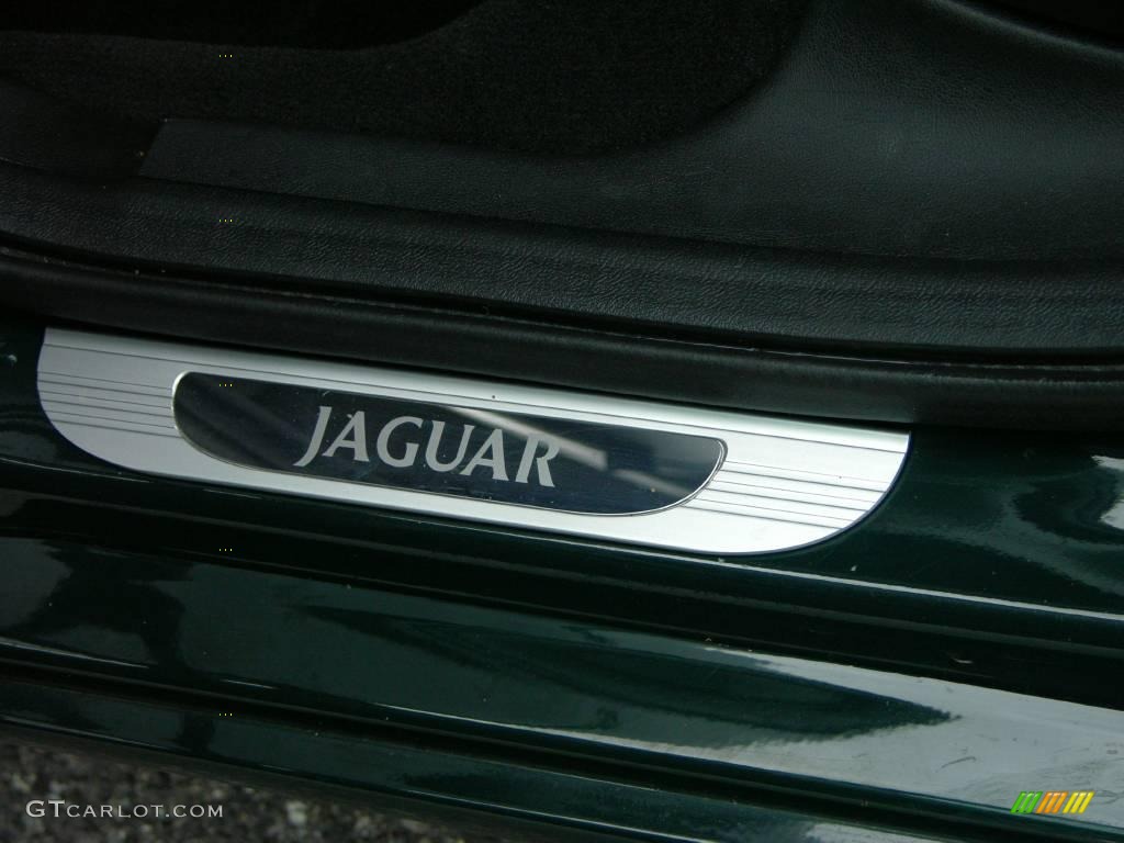 2003 S-Type 4.2 - Jaguar Racing Green / Charcoal photo #27