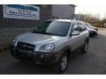 2007 Platinum Metallic Hyundai Tucson SE  photo #1