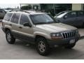 Champagne Pearl - Grand Cherokee Laredo Photo No. 12