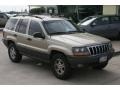 2001 Champagne Pearl Jeep Grand Cherokee Laredo  photo #12