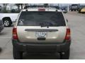 Champagne Pearl - Grand Cherokee Laredo Photo No. 13