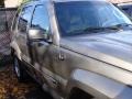 Light Khaki Metallic - Liberty Limited 4x4 Photo No. 3