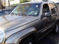 Light Khaki Metallic - Liberty Limited 4x4 Photo No. 4